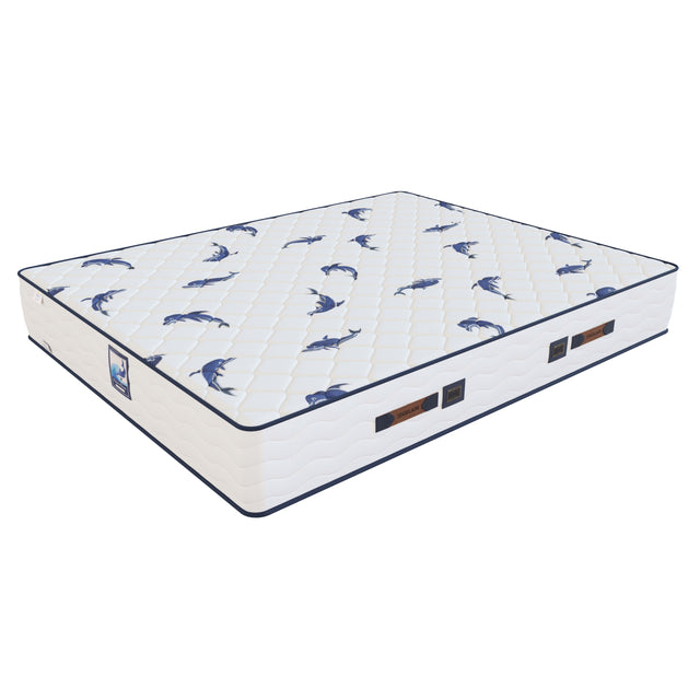 Saltea Ocean's Dream